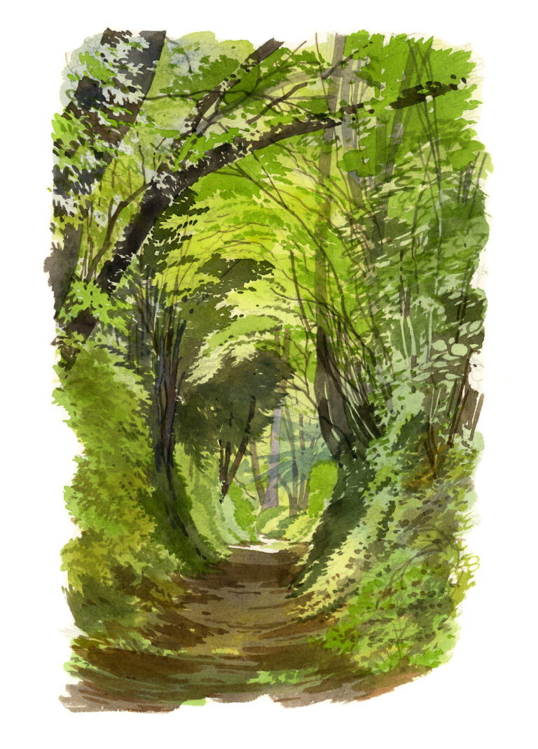 Chemin creux – Montreuil-en-Auge