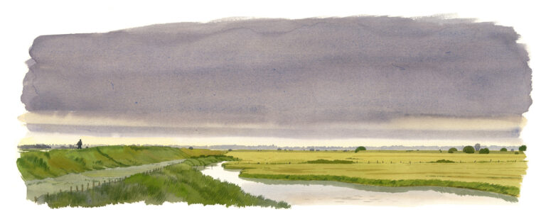 Marais de Carentan – pointe de Brévands