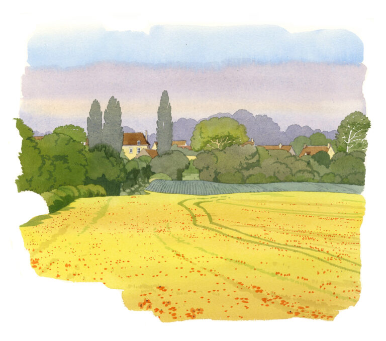 NOR161 Coquelicots_dans_un_champ_de_lin-Aunou-le-Faucon