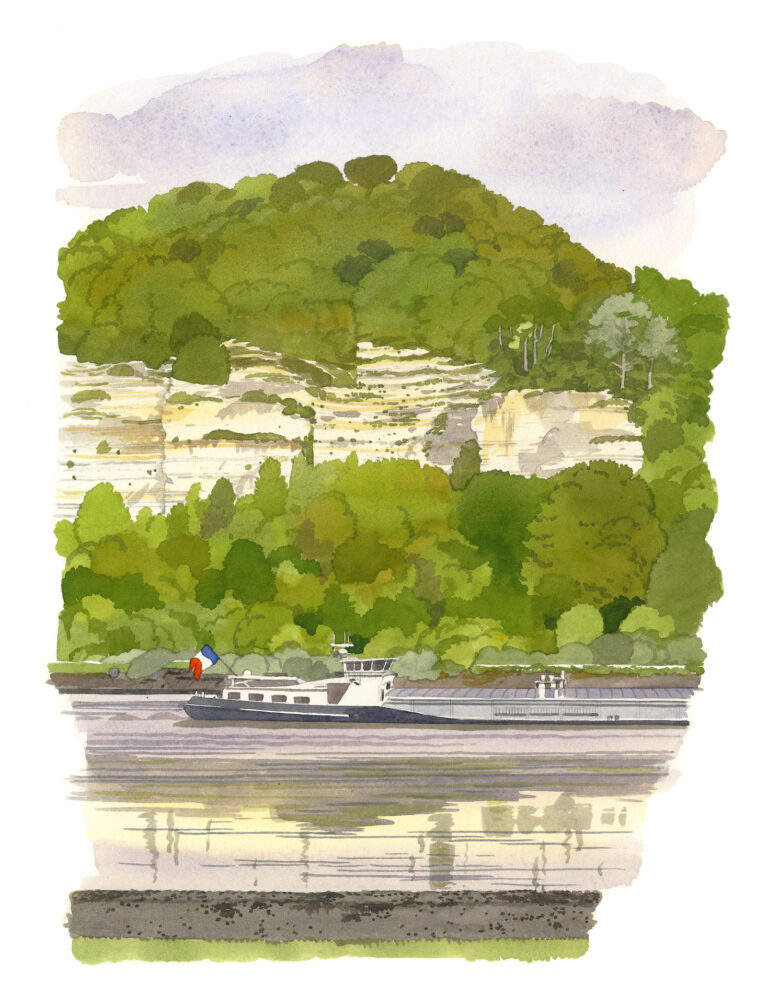 NOR18 Seine_falaises_de_craie_et_forêt_de_Brotonne_vues_de_Jumieges