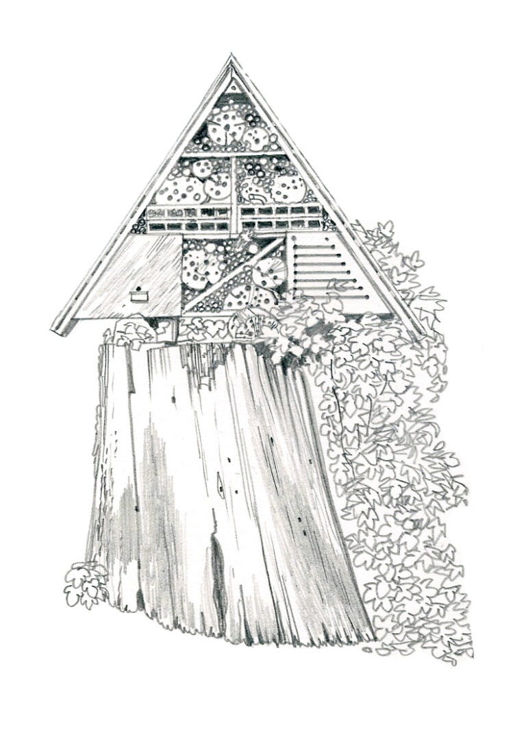 NOR81 Hotel_a_insectes_manoir_de_Courboyer_(dessin_au_trait)