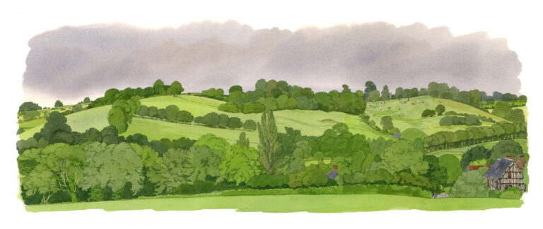 NOR96 Paysage_du_Pays_d_Auge-Crouttes