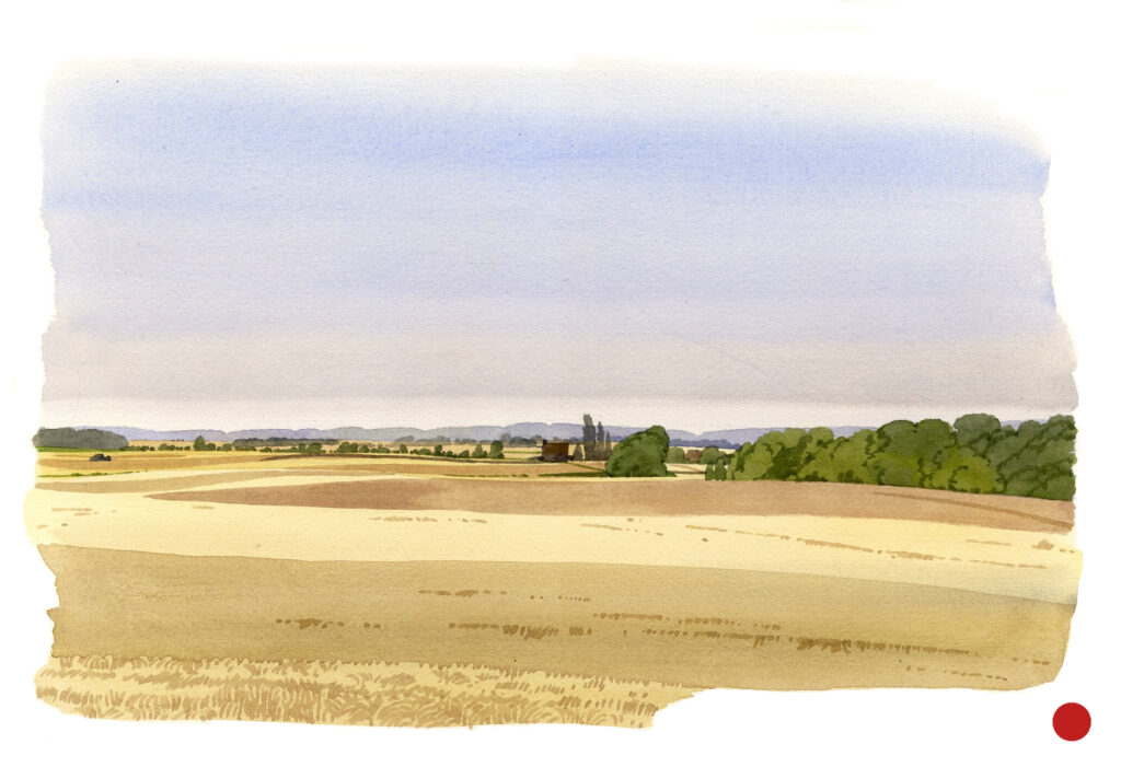 Plateau céréalier dans le Vexin normand