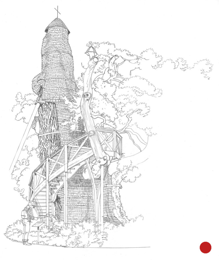 NOR47 Chêne_d_Alouville-Bellefosse_(dessin_au_trait)