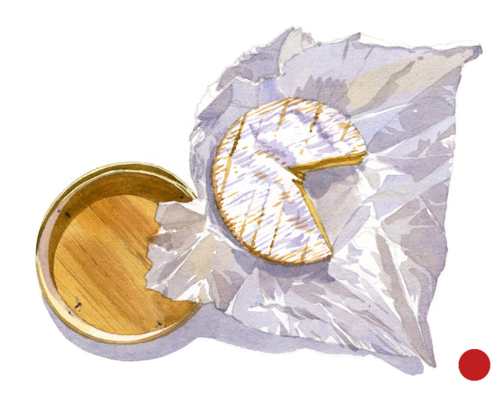 Fromage de Camembert