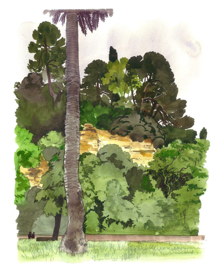 Via Flaminia. Falaise