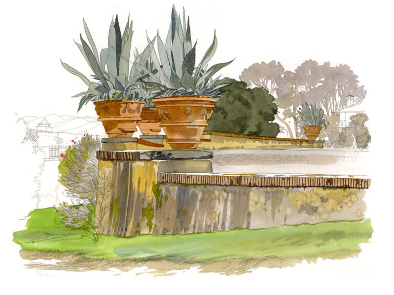 Agaves. Villa de Poggio a Caiano