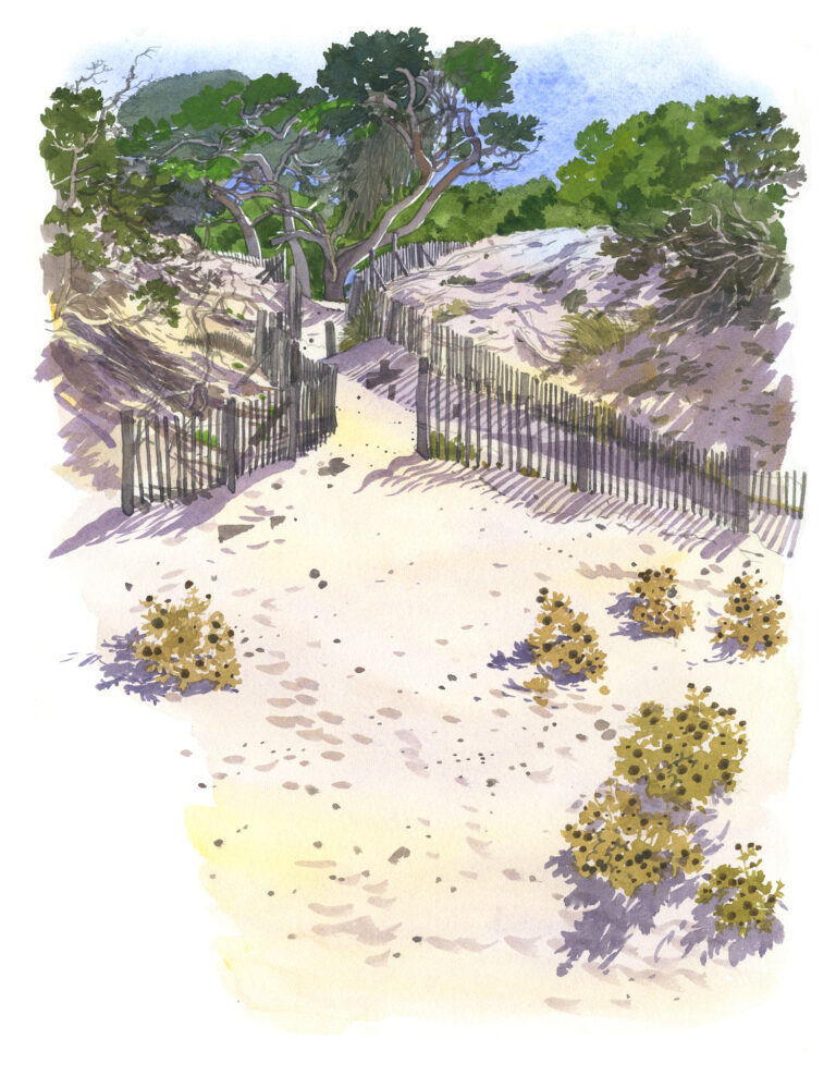 Agriate. Dune, plage de Saleccia