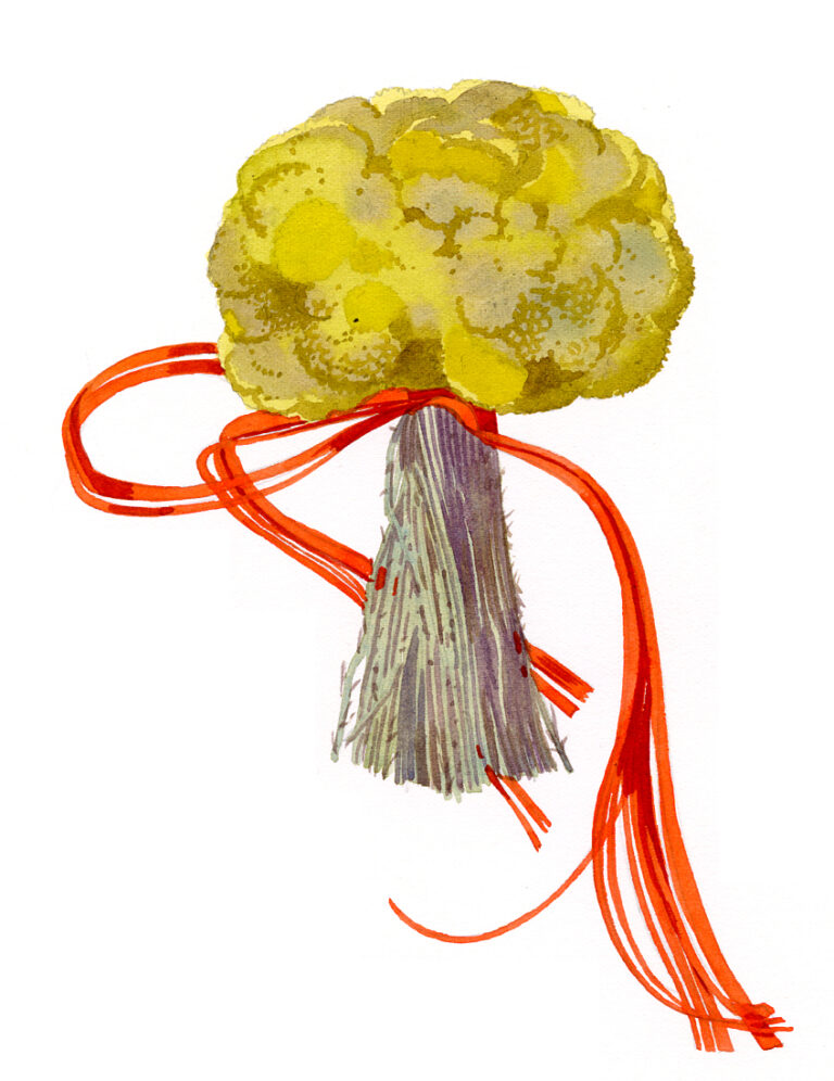 Bouquet d’immortelles. Galeria