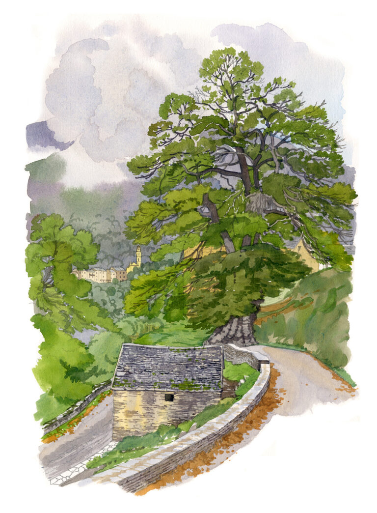 Carcheto. Séchoir à châtaignes