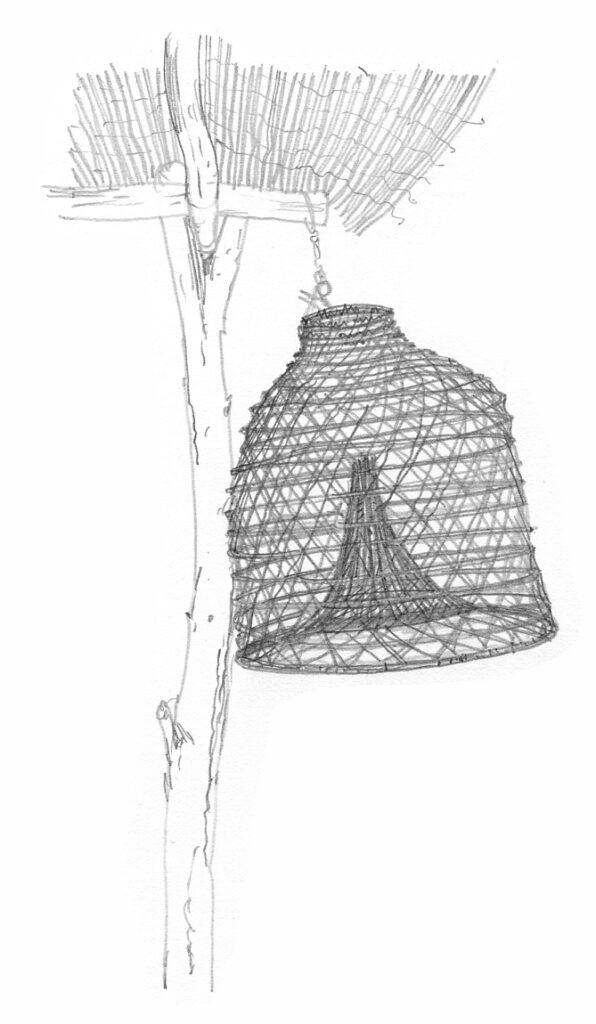 Galeria. Nasse en osier. Crayon