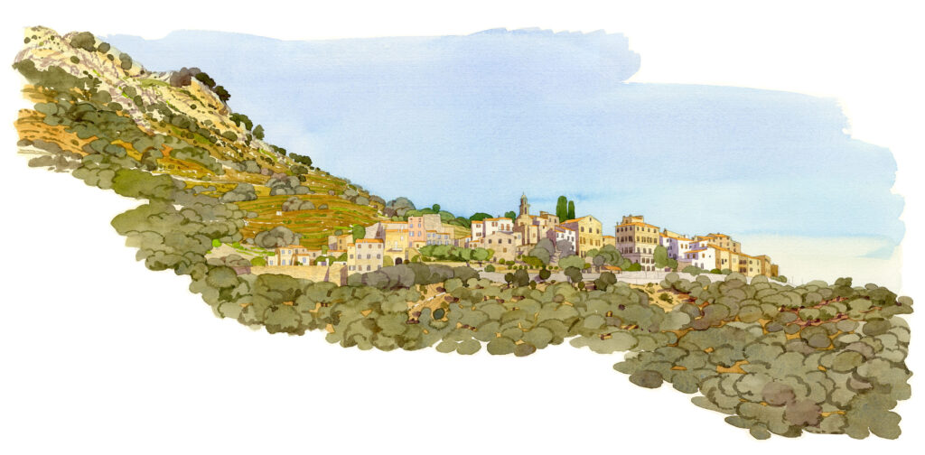 Vue panoramique d’Occiglioni. Balagne