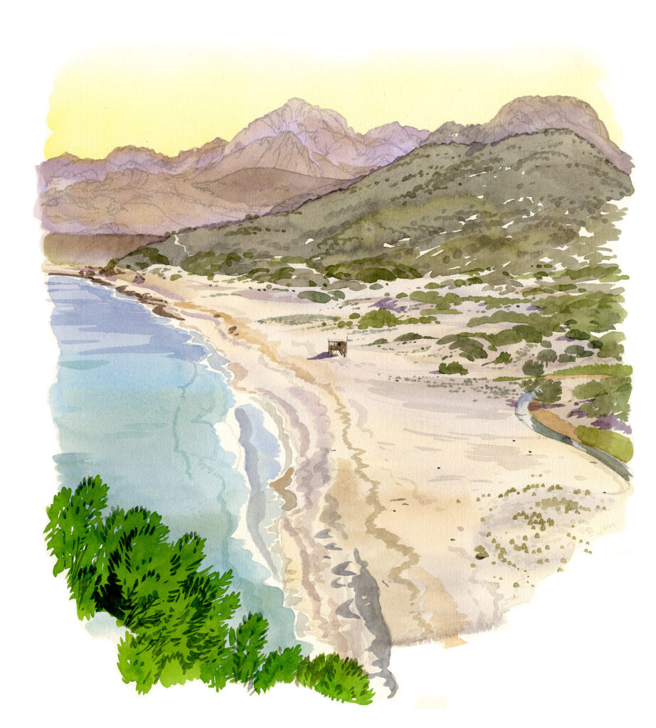 Ostriconi. La plage le matin