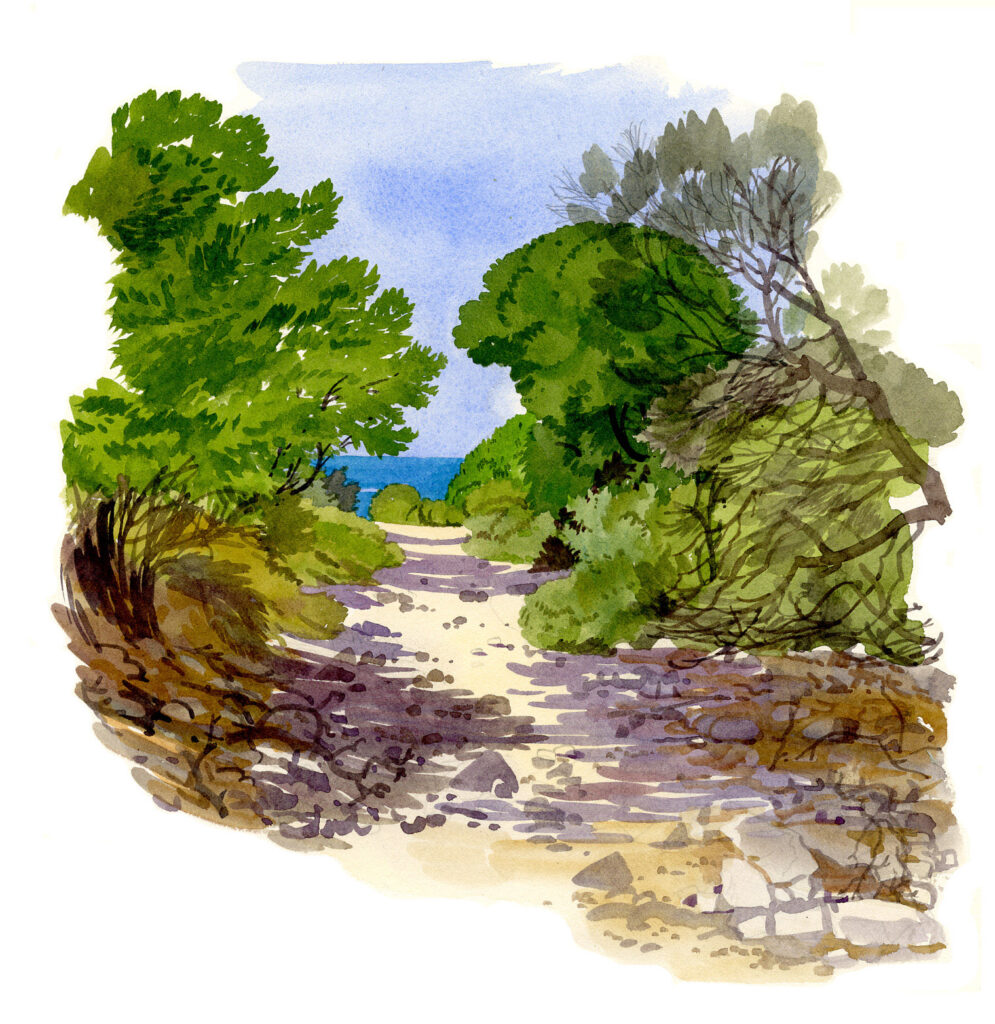 Ostriconi. Chemin dans le maquis