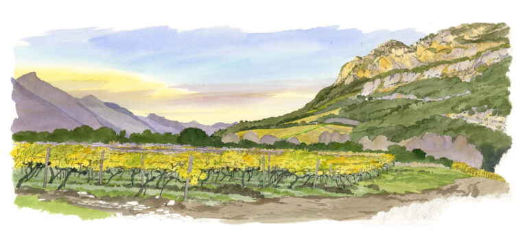 Patrimonio. Le vignoble en automne