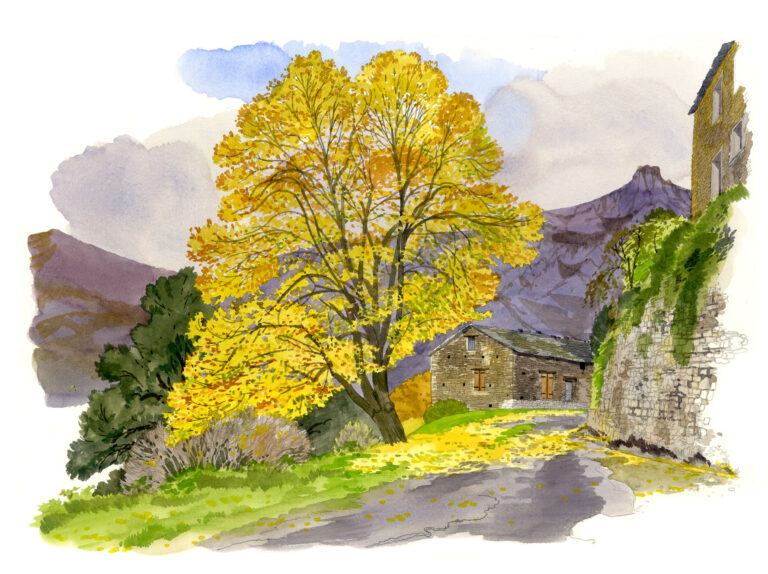 Piazzole. Tilleul en automne